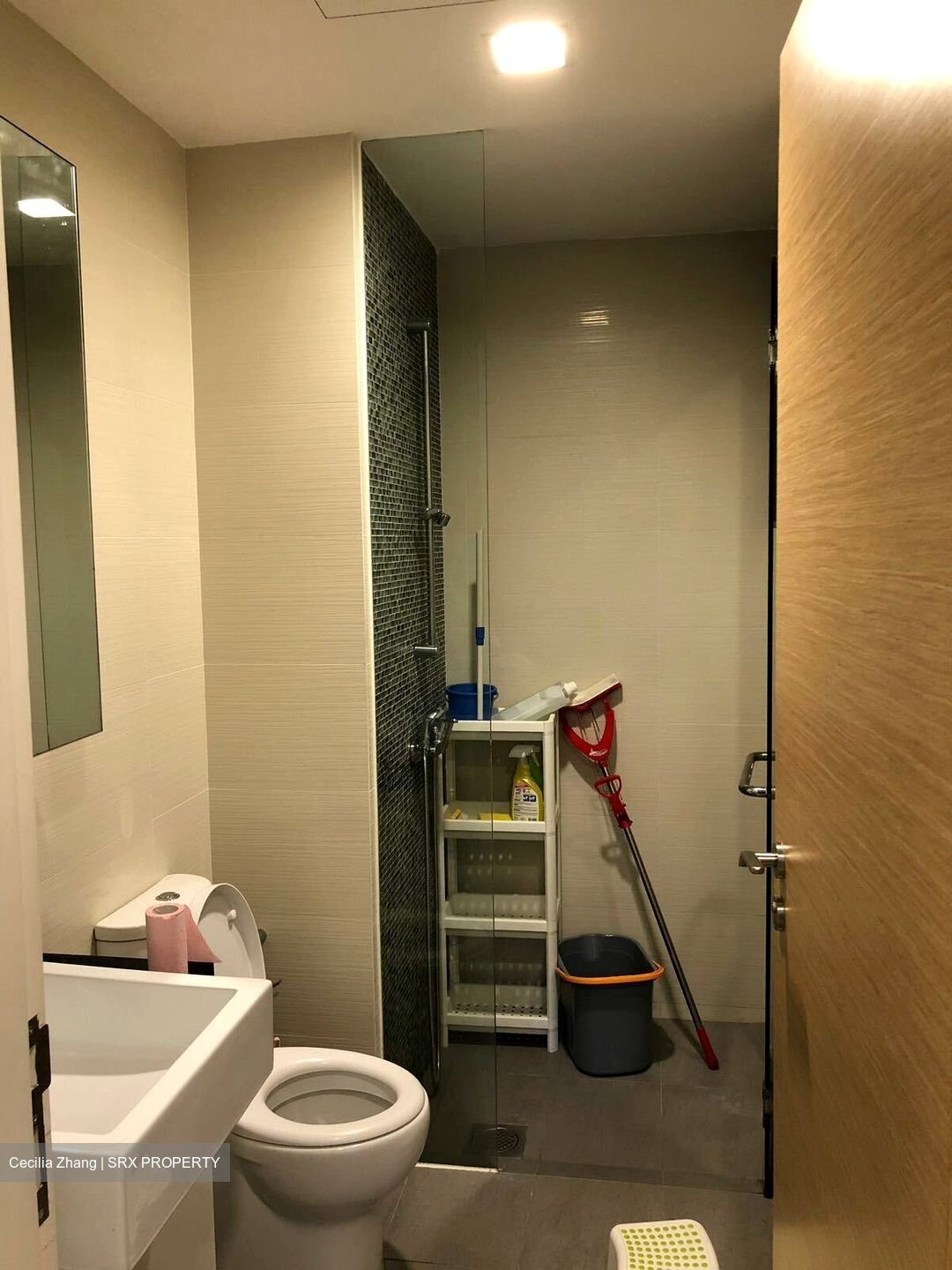 My Manhattan (D18), Condominium #456226791